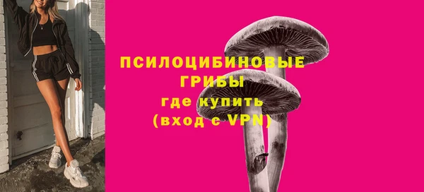 стафф Арсеньев