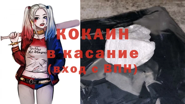 стафф Арсеньев