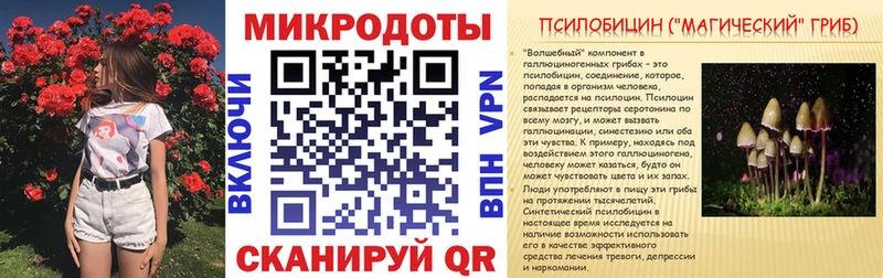 Псилоцибиновые грибы Psilocybine cubensis  Усинск 