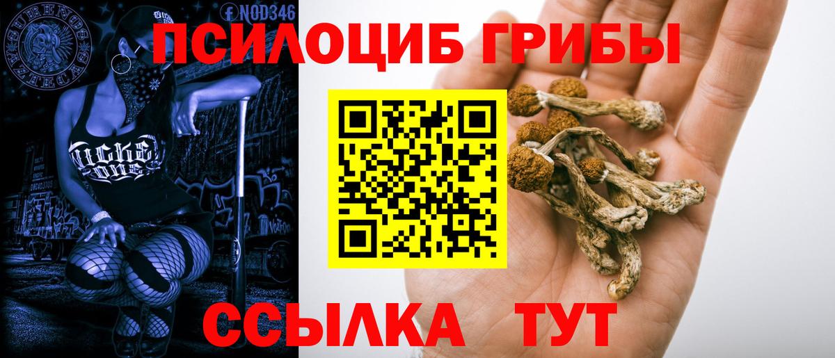 Псилоцибиновые грибы мухоморы Усинск