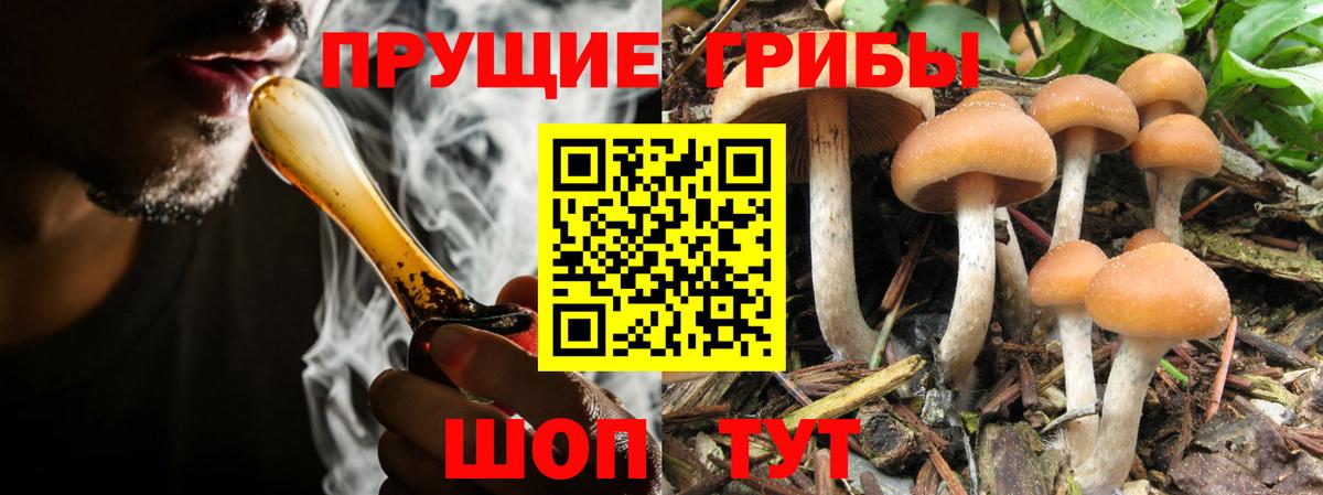 Усинск  Псилоцибиновые грибы прущие грибы  Вход с VPN 